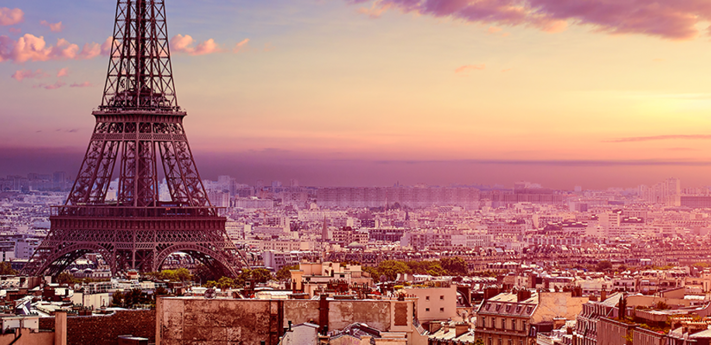 Wide angled view of Paris and the Eiffel Tower.